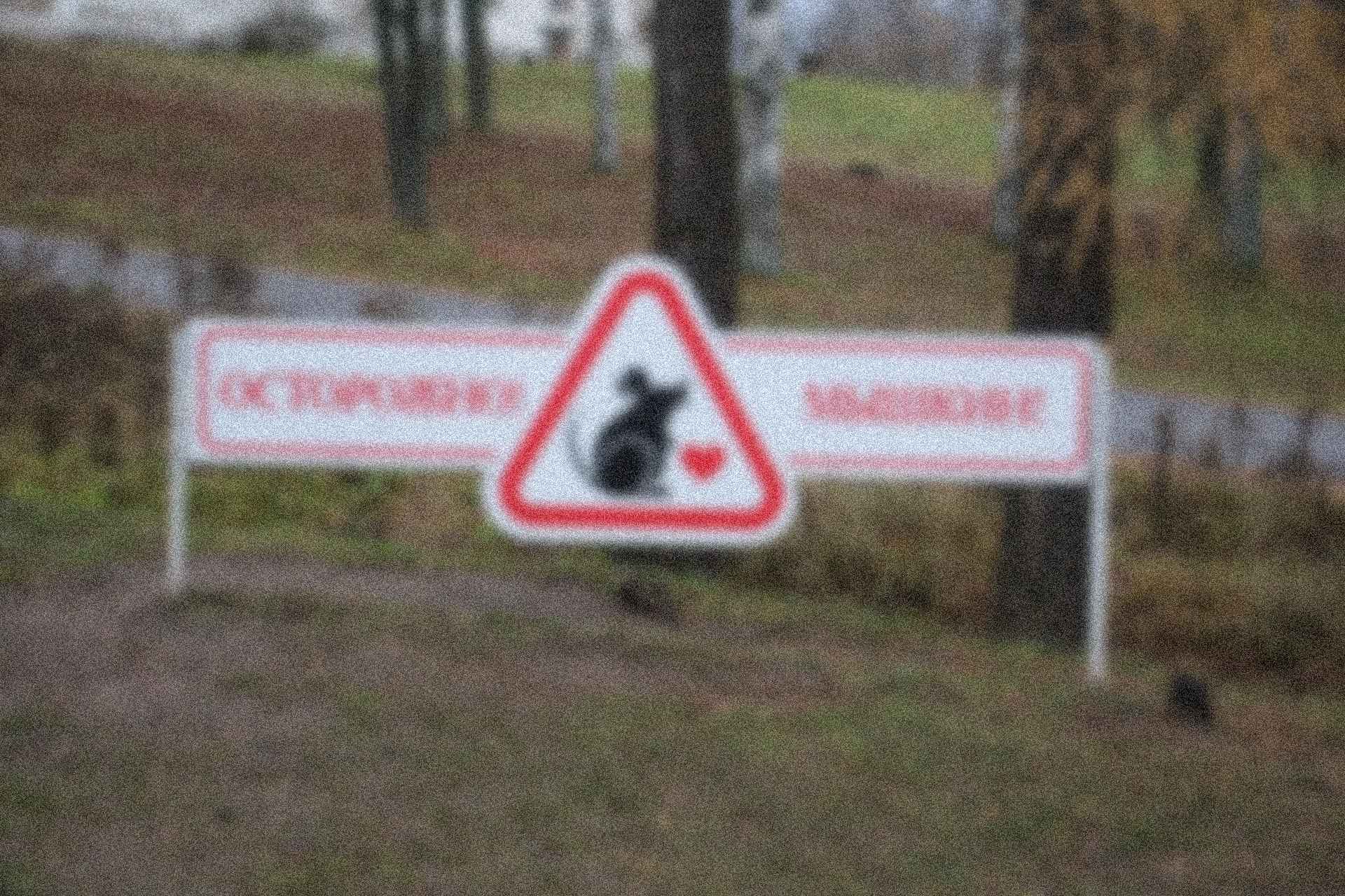 Заглавное изображение Мышкин